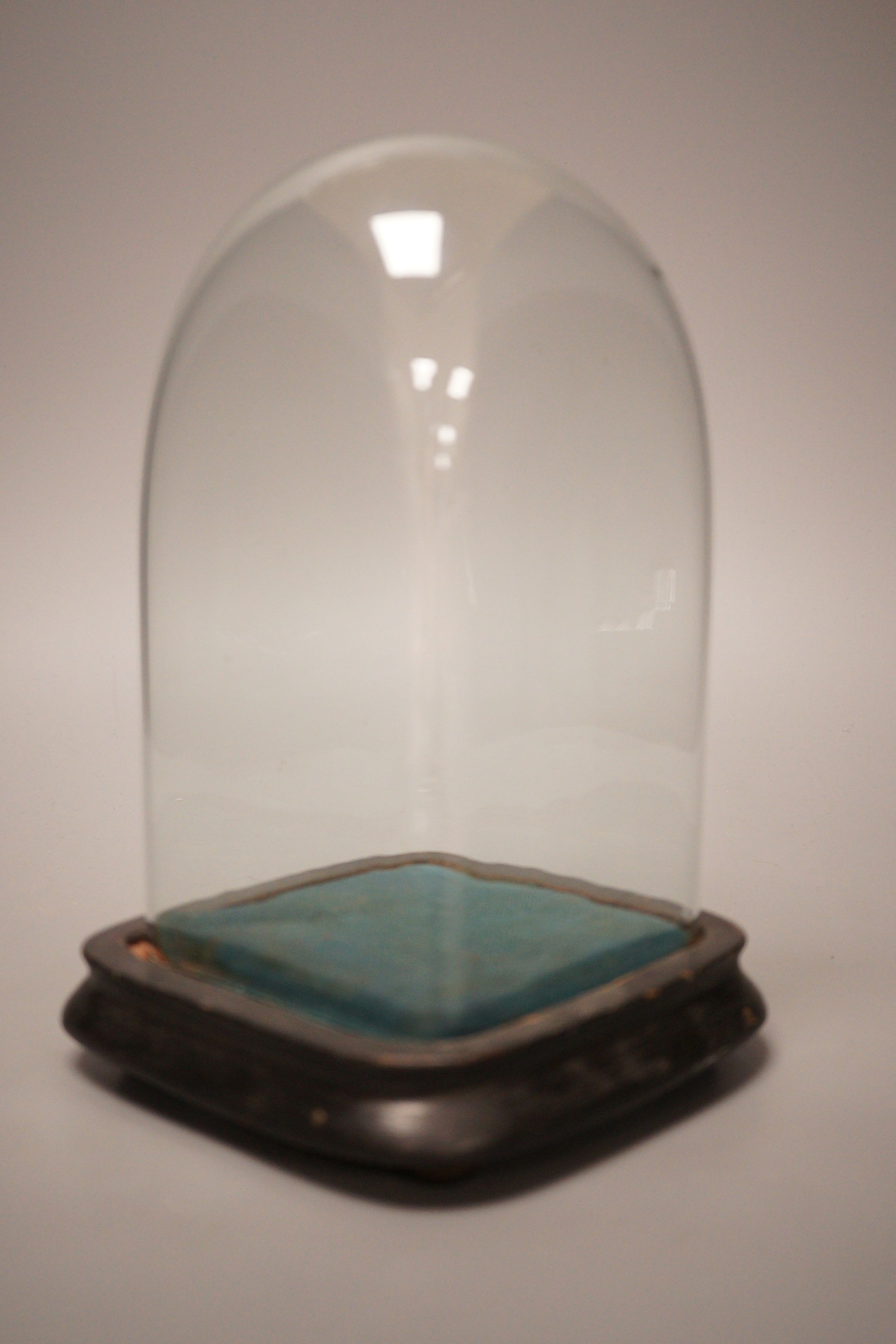 A 19th century glass dome and stand, 22cm